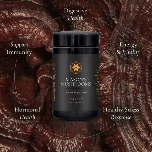 Superfeast Mason's Mushrooms - Immune & Gut Tonic