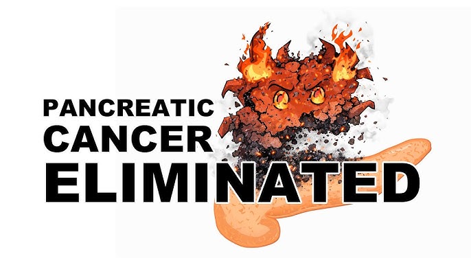 “Video still showing pancreatic cancer research discussion